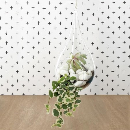 Boule en plastique cristal transparent séparable, diam. 20 cm