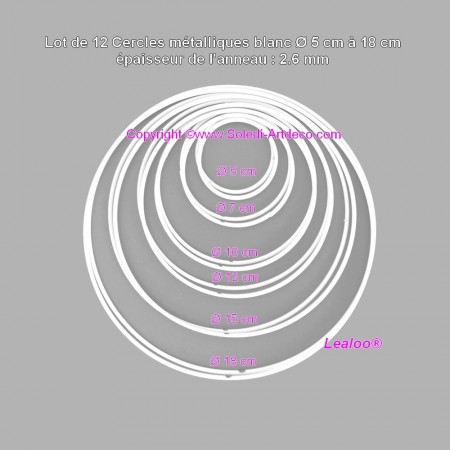 Lot 12 Cercles métal blanc Ø 5 cm à 18 cm, Anneaux en Epoxy pour Attrape rêves, abat-jour