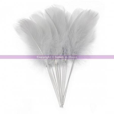 Lot de 12 plumes Grises véritables sur pique, hauteur totale 22 cm